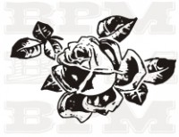 /album/fotogaleria-kvety-stromy/kvety-52-jpg/